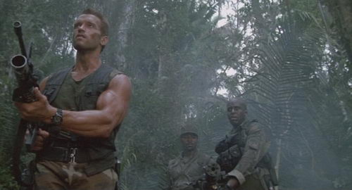 Arnie Predator Review