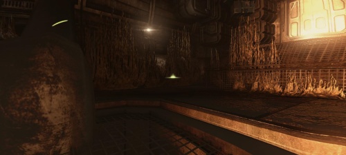 Corridor Aliens vs Predator Review