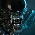 Alien Big Chap Sideshow Collectibles