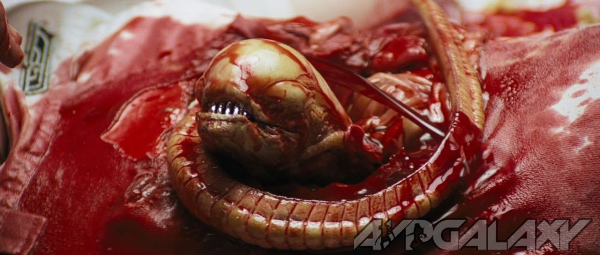 I tried to find a picture of belly bursters from AvPR but the images were too dark. "You Are One Ugly Motherfu..." - My Wishlist for the Next Alien vs. Predator Film