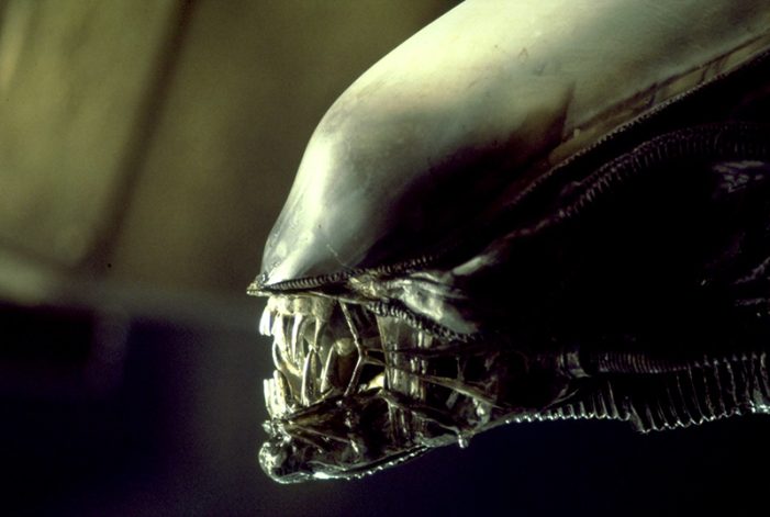  Neill Blomkamp's Alien 5 Would Have Used Practical Alien Effects
