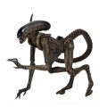 Dog Alien