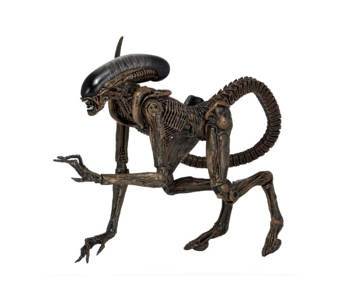 alien-3-dog-02