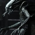 alien-40th-06