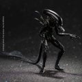 Hiya-AvP-Alien-Warrior-001-scaled