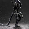 Hiya-AvP-Alien-Warrior-005-scaled