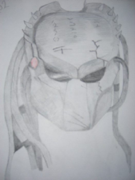 The Wolfs Mask (Alienwolf) (Alienwolf)