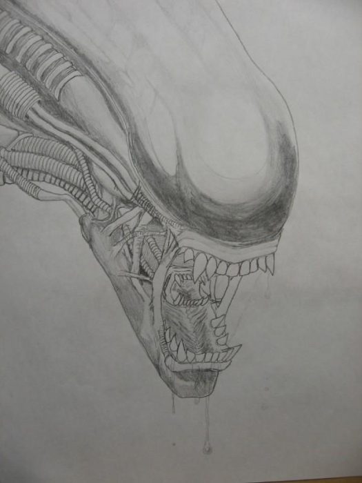 alien head i drew (pred5)