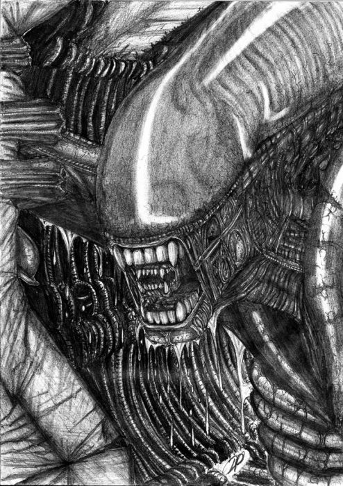 Alien in the Doorway (David Spaton)