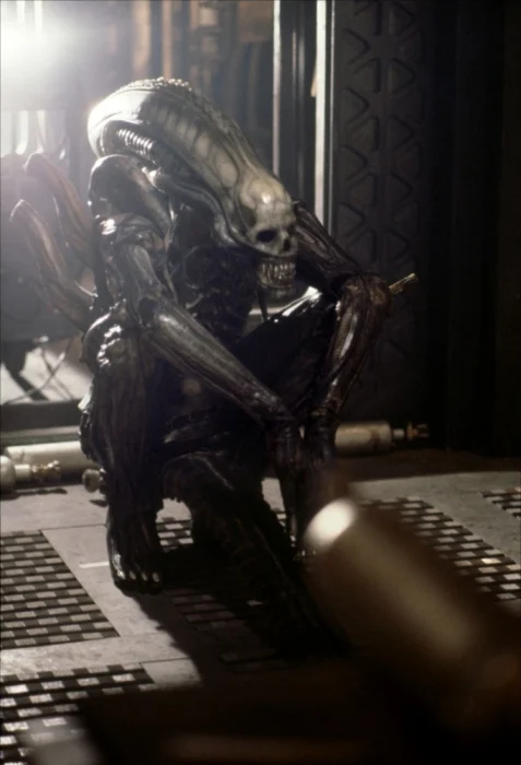 Alien (1979) Behind the Scenes Photos | AvPGalaxy