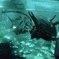 Underwater Aliens