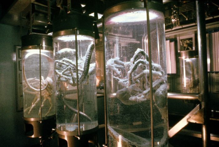 Facehuggers in Stasis