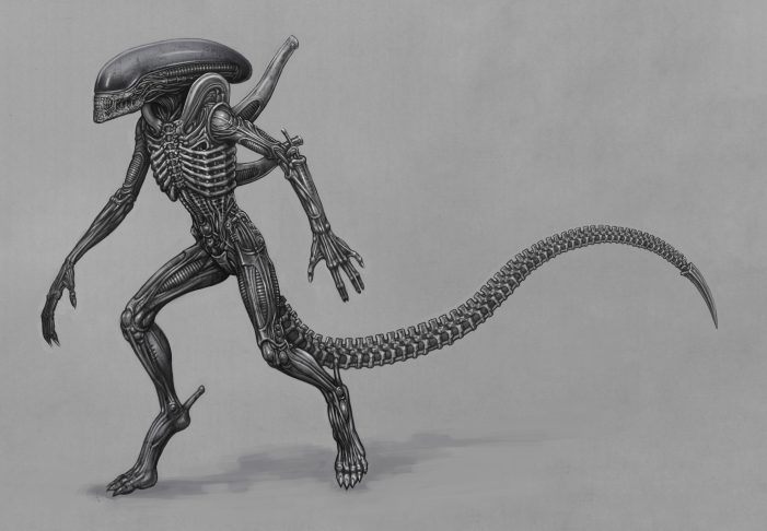 How To Draw An Alien From Alien Vs Predator, Avp, Step by Step, Drawing  Guide, by Dawn - DragoArt
