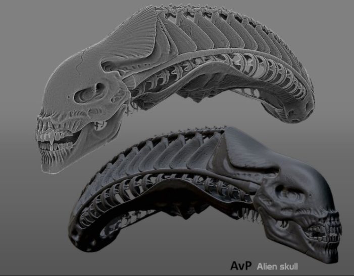 Alien Skull (Remy Chinchilla)