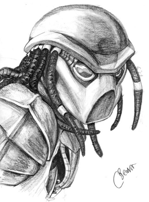 Sketchy-Arse Predator (Chris Beaver)
