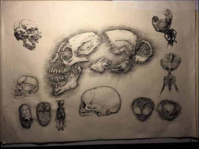 Skull Drawing (Matt Hatton)