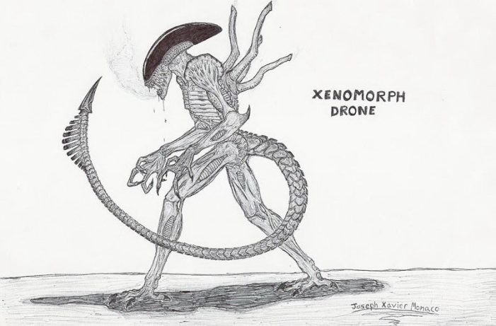 Xenomorph Drone (Joey Monaco)