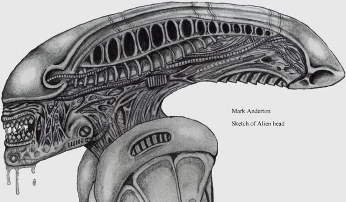 Sketch of Alien Head (Mark Anderton)