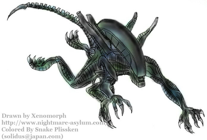  (Xenomorph / Snake Plissken)