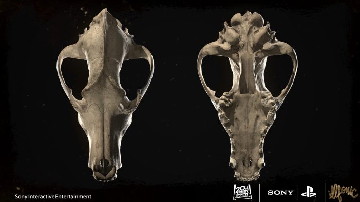 Wolf Skull (Musaab Shukr)