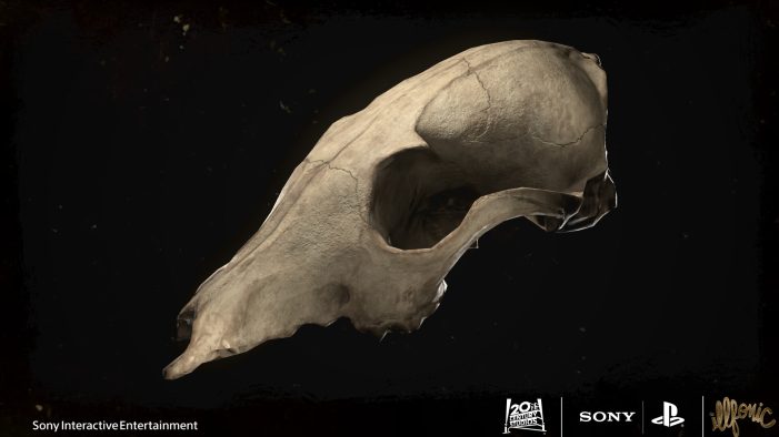 Coyote Skull (Musaab Shukr)