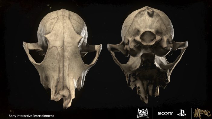 Coyote Skull (Musaab Shukr)