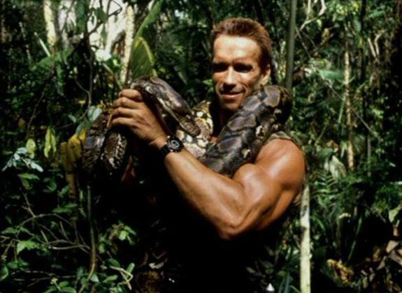 Arnold Schwarzenegger with a snake in…