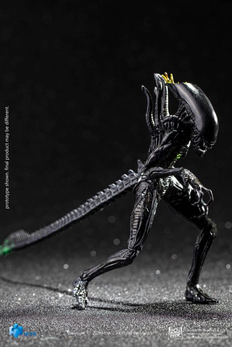 Hiya-Toys-AvP-Blowout-Alien-Warrior-004