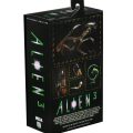 Dog Alien Packaging