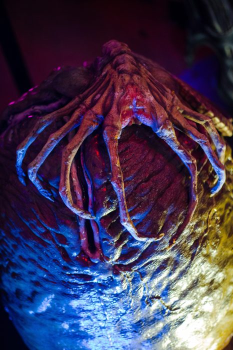 Icons Of Darkness_10.9.21_AVP_Aliens Facehugger_055sm (Mike Monaghan)