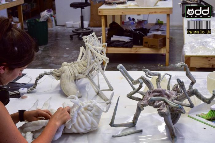 Some Facehuggers from David’s Lab being worked on by Suzi Battersby