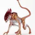 Panther-Alien-scaled
