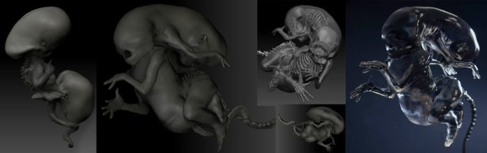 alien+fetus+06+small (Dominic Hailstone)