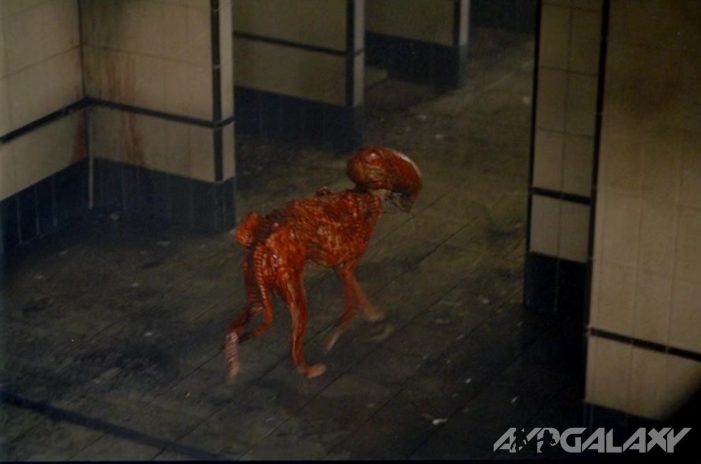 Dog in Alien costume.