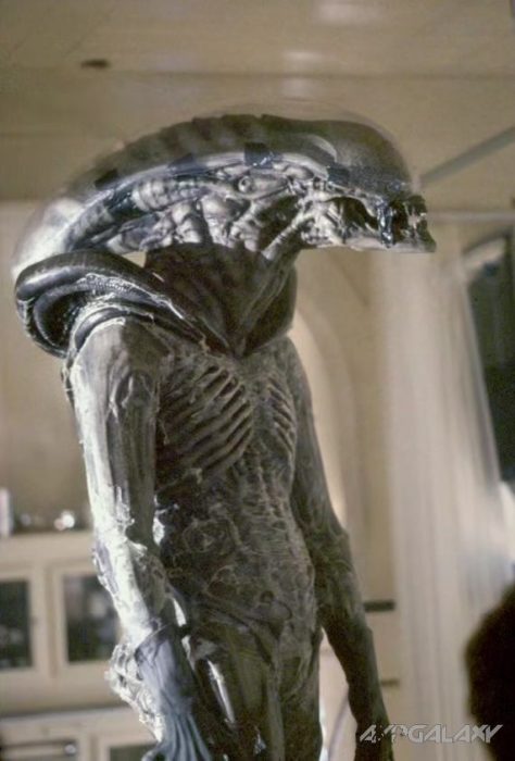 Tom Woodruff in the Alien costume.