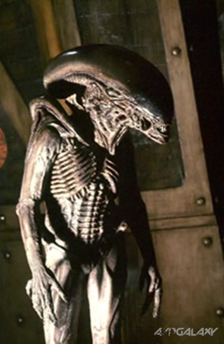 Tom Woodruff wore the alien costume.