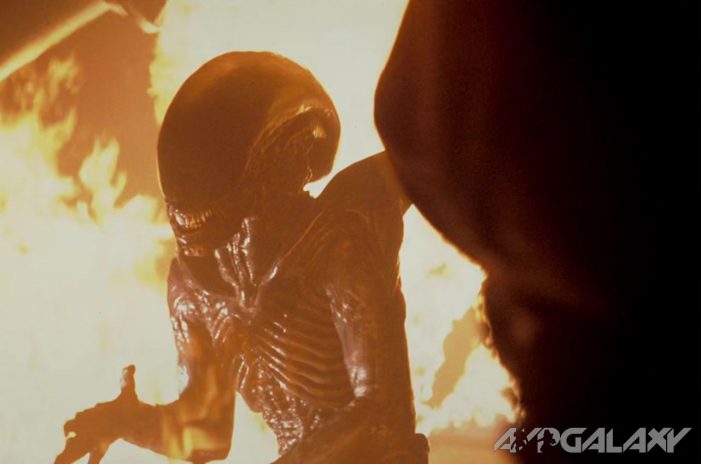  "Near The End of this Century” - FX's John Landgraf Talks Alien Series Time Setting
