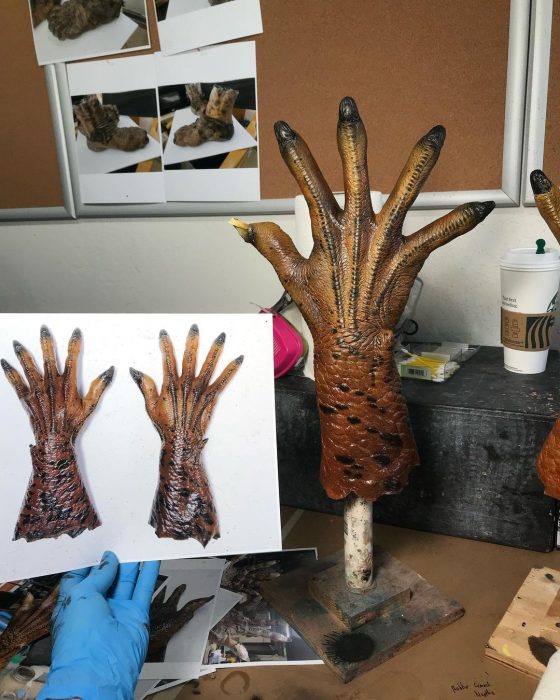 Feral Predator Hands (Bonnie Ephraim)