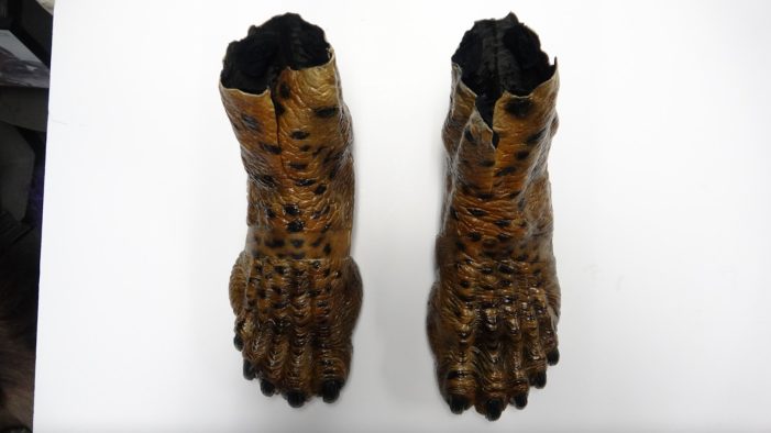 The final Feral Predator feet.